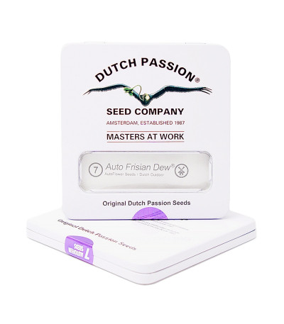 Семена марихуаны Auto Frisian Dew в оригинальной упаковке
