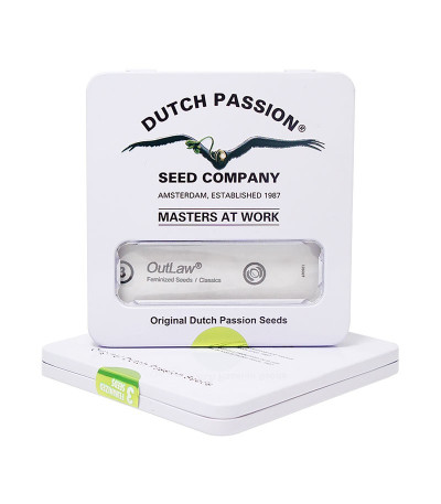 Семена конопли Outlaw в оригинальной упаковке