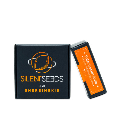 Polar Gelato Auto fem (Silent Seeds) семена конопли