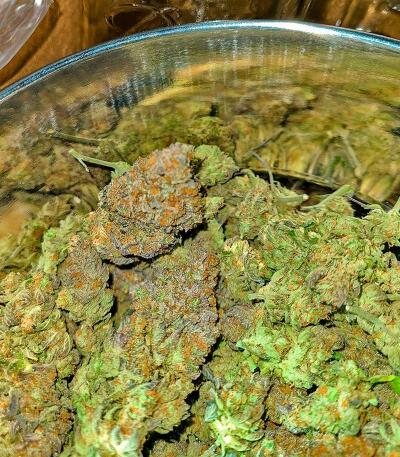 Banana Hammock RBX fem (Ethos Genetics) семена конопли