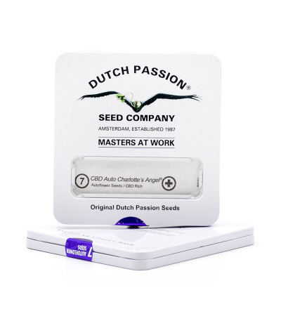CBD Auto Charlotte’s Angel fem (Dutch Passion) семена каннабиса