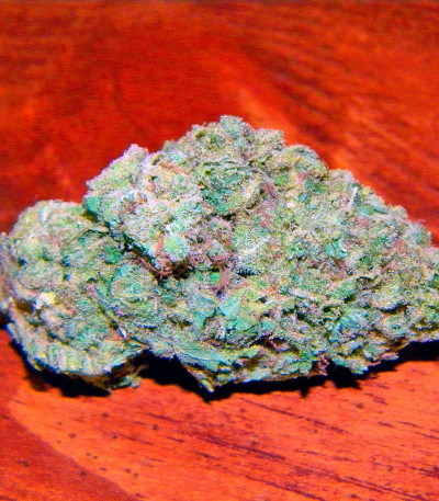 Alaskan Ice fem семена конопли