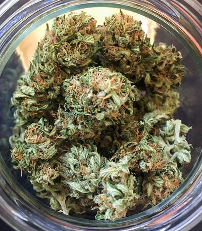 Watermelon Zkittlez Fast Version fem (Easy Grow Seeds) семена конопли