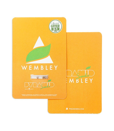 Wembley fem (Pyramid Seeds) семена конопли