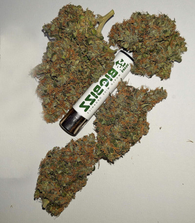 CBD Auto Charlotte’s Angel fem (Dutch Passion) семена каннабиса