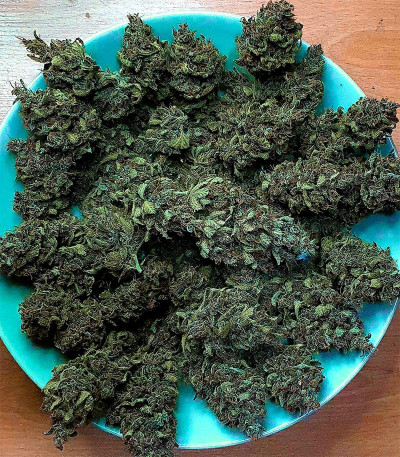 Godzilla Cookies Auto fem (Herbies Seeds) семена конопли