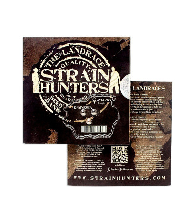 Damnesia fem (Strain Hunters) семена конопли