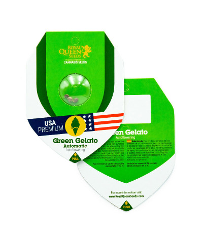 Green Gelato Automatic fem (RQS) семена конопли