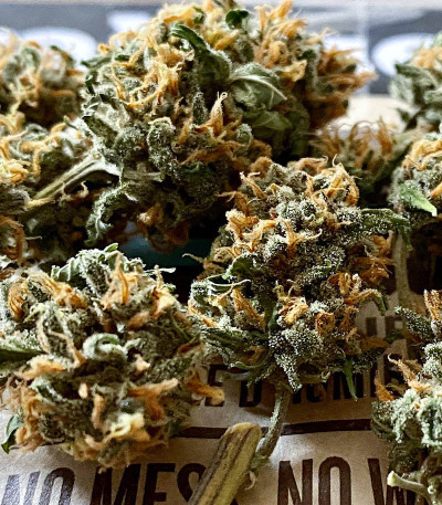 Shogun fem (Royal Queen Seeds) семена конопли