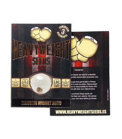Massive Midget Auto fem семена конопли