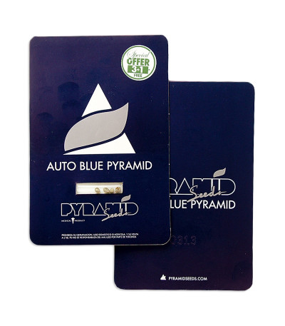 Auto Blue Pyramid fem (Pyramid Seeds) семена конопли
