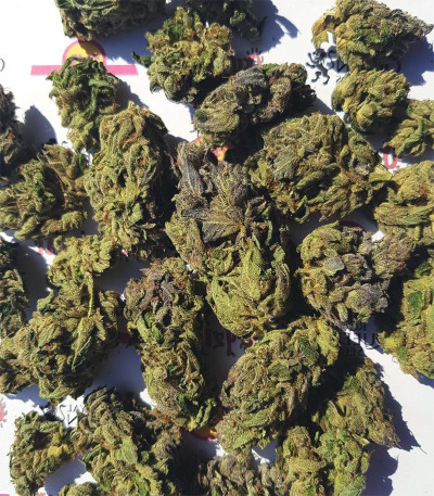 Triple G fem (Royal Queen Seeds) семена конопли