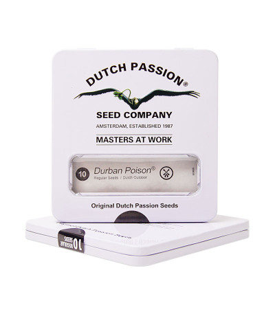 Durban Poison reg (Dutch Passion) семена конопли