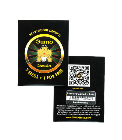 Amnesia Ganja Haze Auto fem (Sumo Seeds) семена конопли