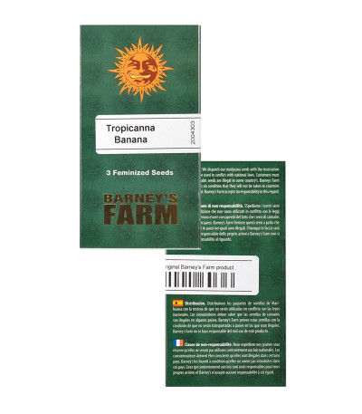 Tropicanna Banana fem (Barney's Farm) семена конопли