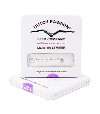 Семена конопли Auto Cinderella Jack в оригинальной упаковке