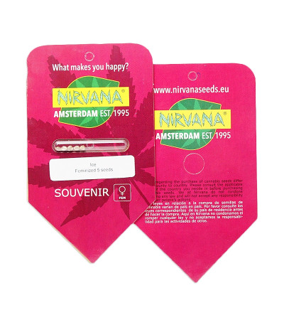 Ice fem (Nirvana Seeds) семена конопли