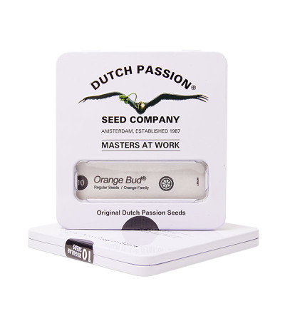 Orange Bud reg (Dutch Passion) семена конопли