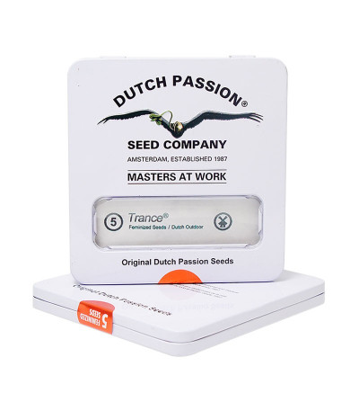 Семена марихуаны Trance в оригинальной упаковке