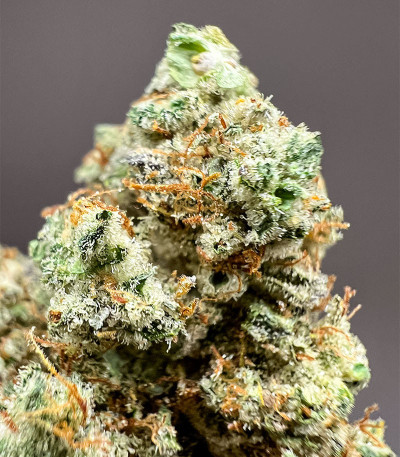 HighCloudZ fem (Green House Seeds) семена конопли