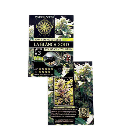 La Blanca Gold fem (Vision Seeds) семена конопли
