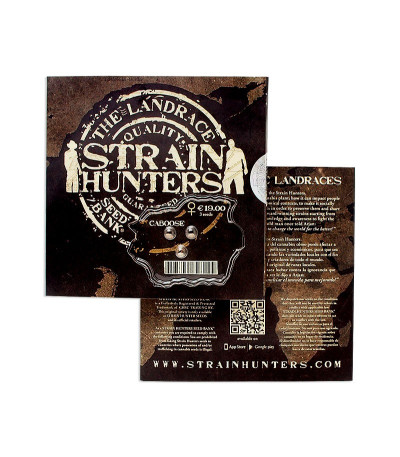 Caboose fem (Strain Hunters) семена конопли