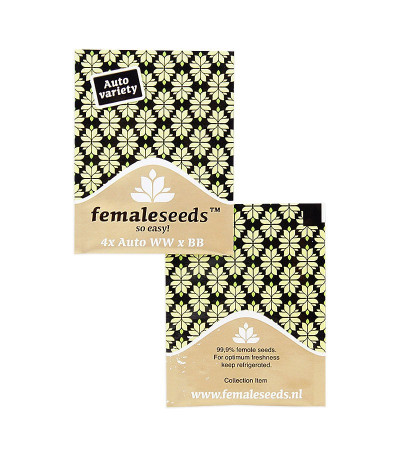 Auto White Widow x Big Bud fem (Female Seeds) семена конопли