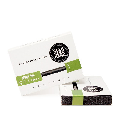 Moby Big fem семена конопли