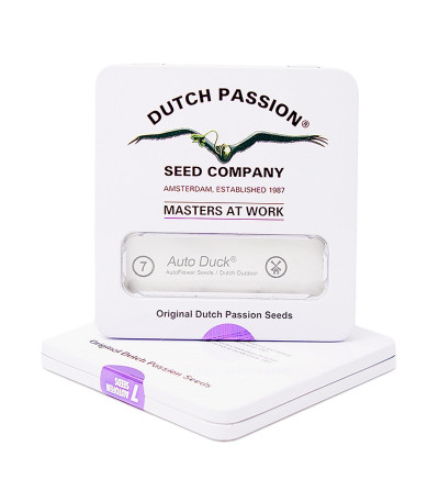 Семена марихуаны Auto Duck в оригинальной упаковке