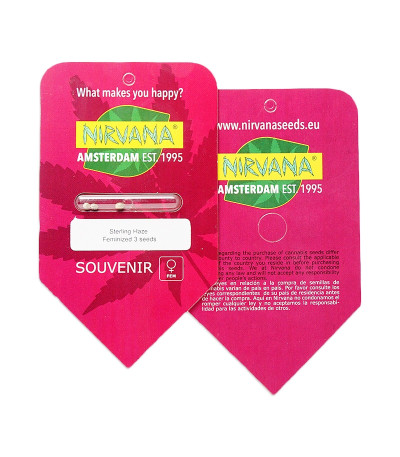 Sterling Haze fem (Nirvana Seeds) семена конопли