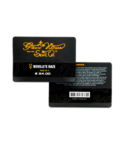 Neville's Haze fem (Green House Seeds)