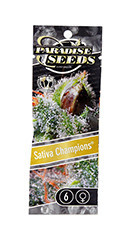 Sativa Champions Pack fem (Paradise Seeds)