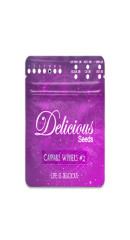 Gourmet Collection - Cannabis Winner Strains #2 fem (Delicious Seeds)