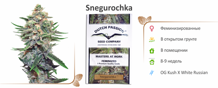 Snegurochka 