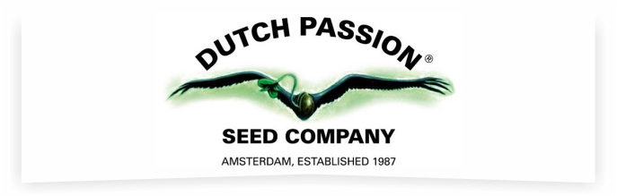 Dutch Passion