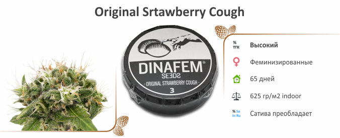 Original Srtawberry Cough