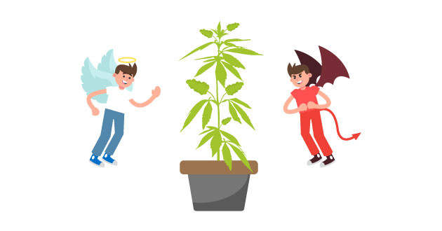 Факты о пользе конопли