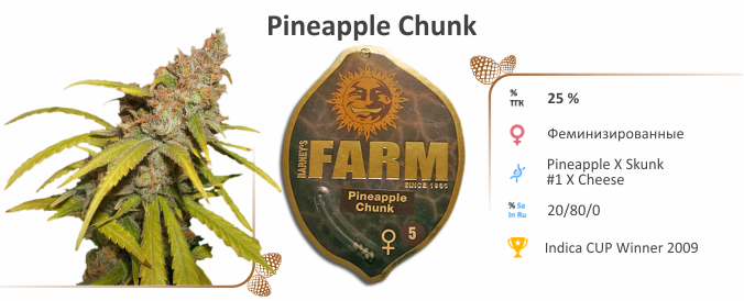 Pineapple Chunk Pineapple Chunk