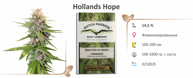 Hollands Hope