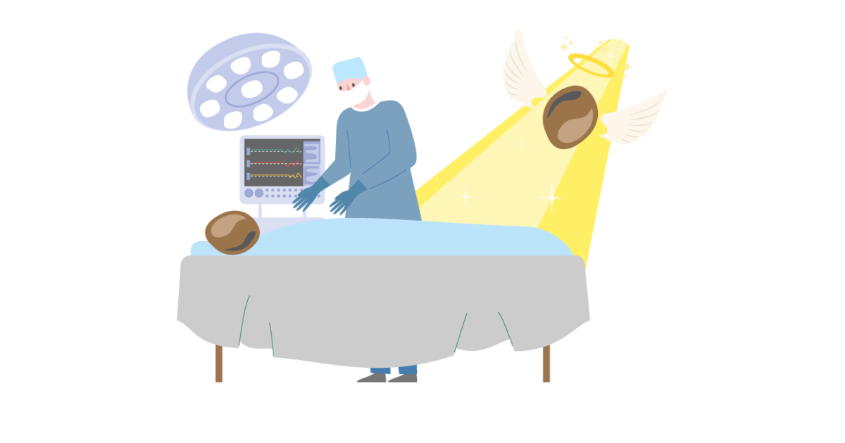 Гибель семян конопли