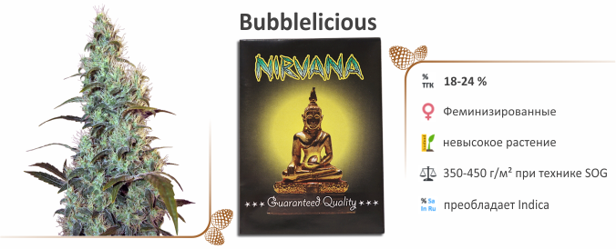 Bubblelicious Bubblelicious